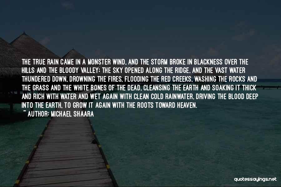 Cleansing Water Quotes By Michael Shaara