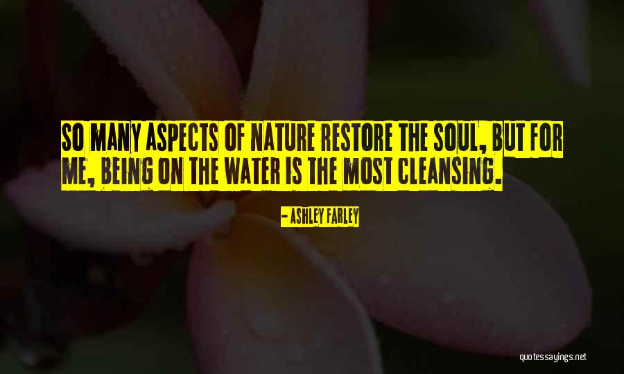 Cleansing Your Soul Quotes By Ashley Farley