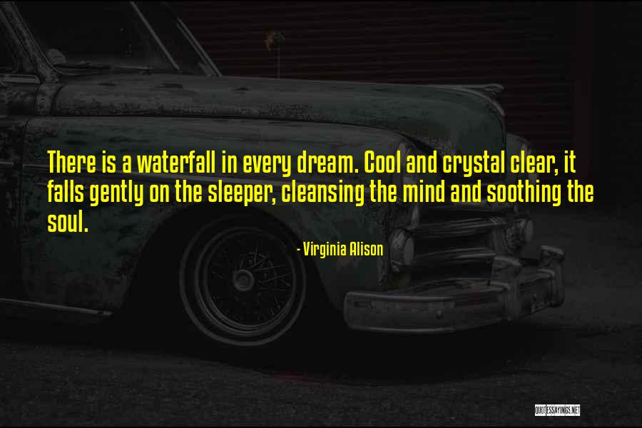 Cleansing Your Soul Quotes By Virginia Alison Cleansing Your Soul Quotes By Virginia Alison