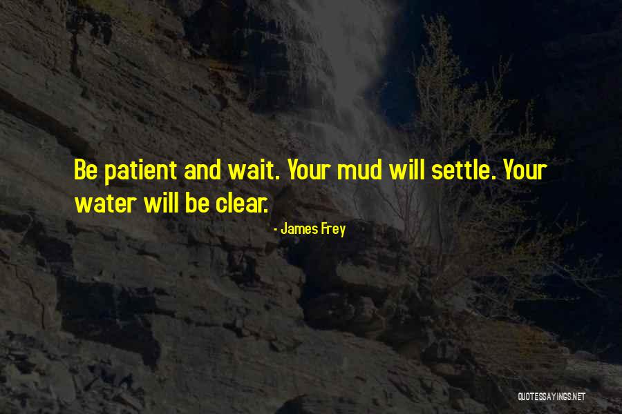 Clear As Mud Quotes By James Frey