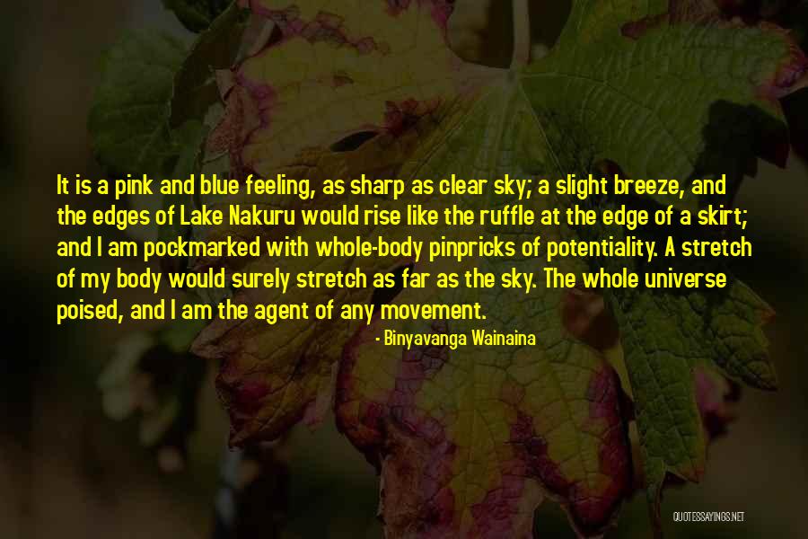 Clear Blue Sky Quotes By Binyavanga Wainaina Clear Blue Sky Quotes By Binyavanga Wainaina