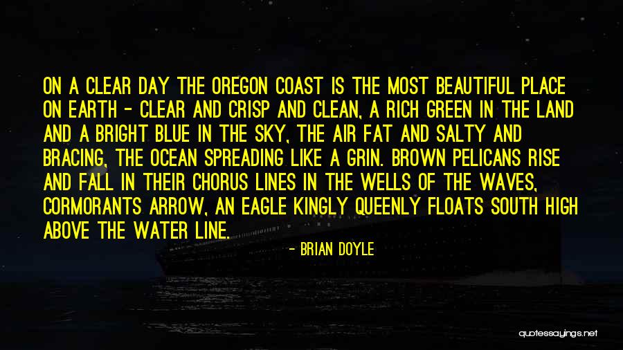 Clear Blue Sky Quotes By Brian Doyle