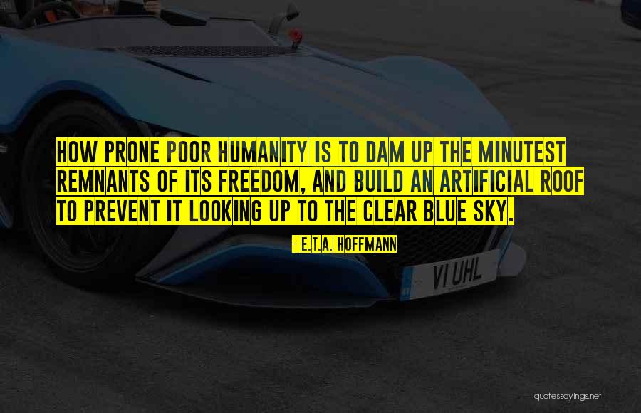 Clear Blue Sky Quotes By E.T.A. Hoffmann