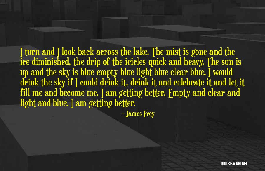 Clear Blue Sky Quotes By James Frey