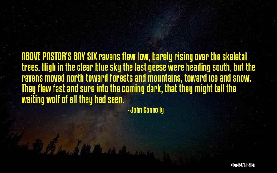 Clear Blue Sky Quotes By John Connolly