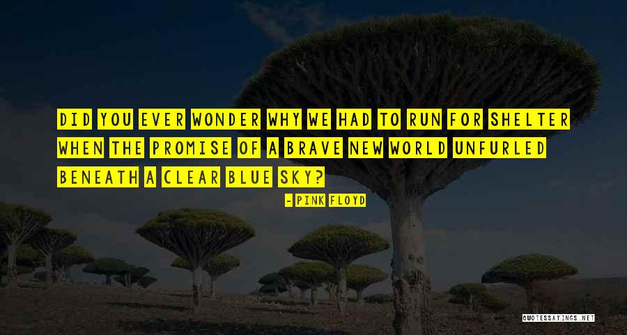 Clear Blue Sky Quotes By Pink Floyd