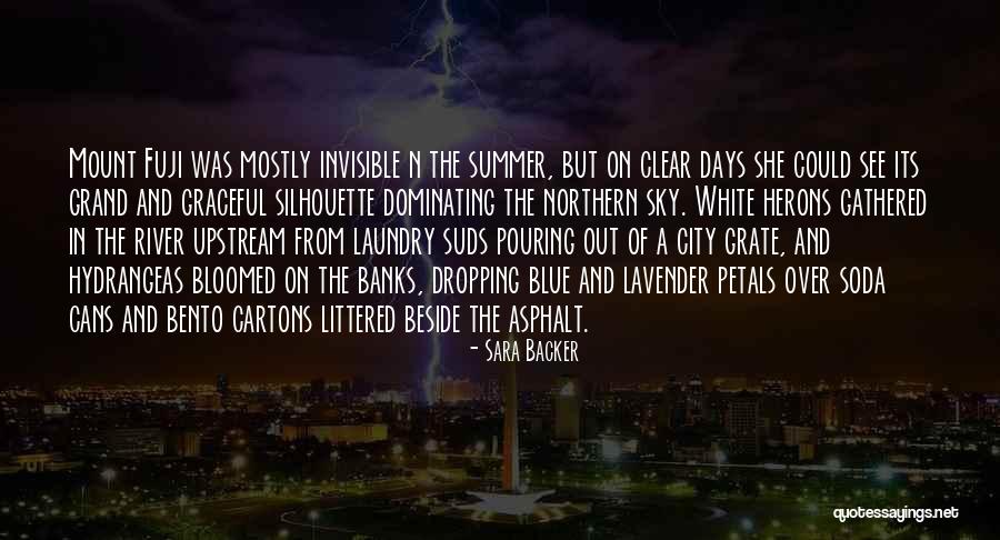 Clear Blue Sky Quotes By Sara Backer Clear Blue Sky Quotes By Sara Backer