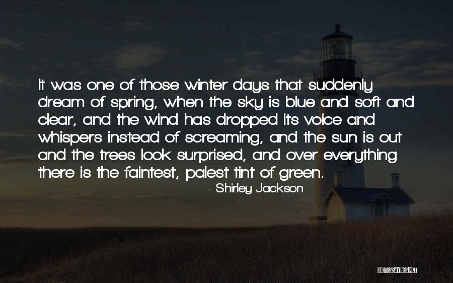 Clear Blue Sky Quotes By Shirley Jackson Clear Blue Sky Quotes By Shirley Jackson