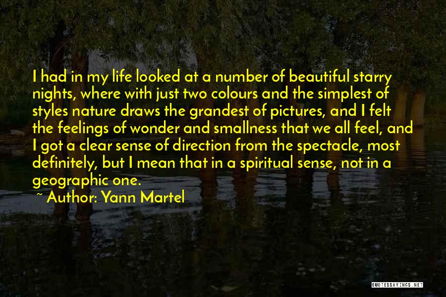 Clear Direction Quotes By Yann Martel