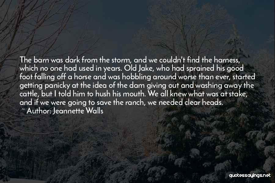 Clear Quotes By Jeannette Walls