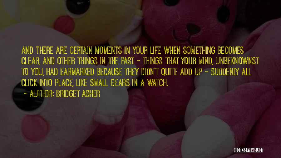 Clear Things Up Quotes By Bridget Asher