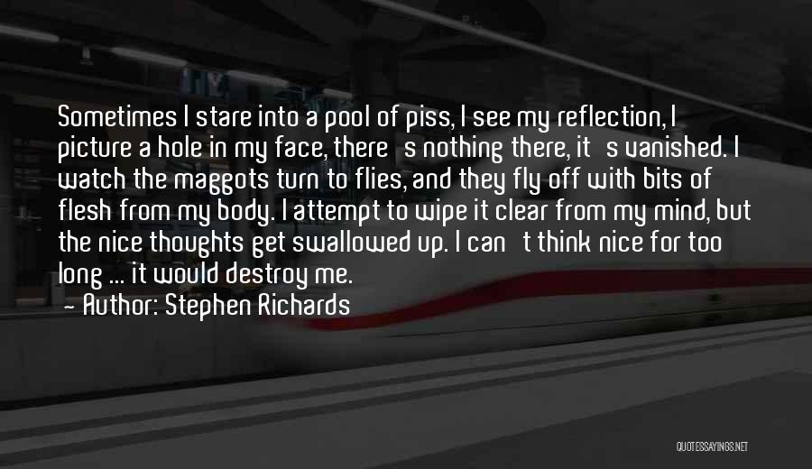Clear Up My Mind Quotes By Stephen Richards