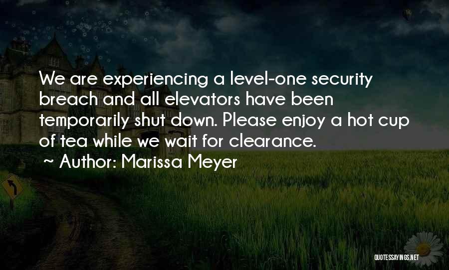 Clearance Quotes By Marissa Meyer