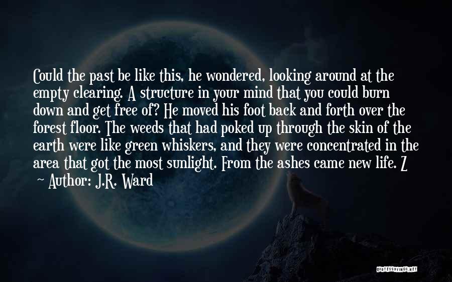 Clearing My Mind Quotes By J.R. Ward