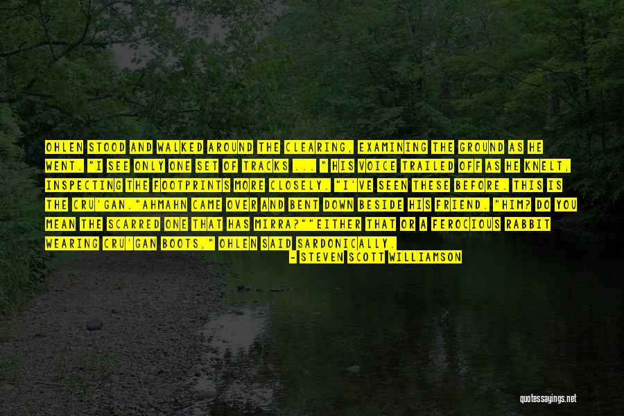 Clearing Quotes By Steven Scott Williamson Clearing Quotes By Steven Scott Williamson