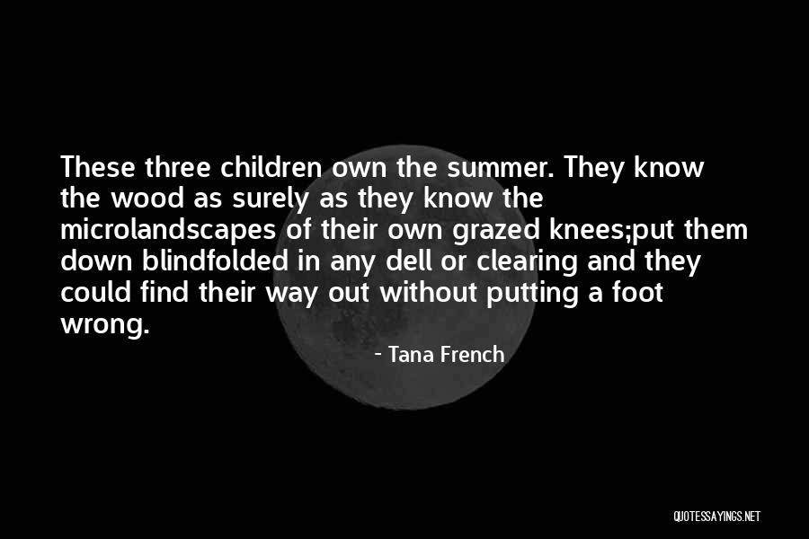 Clearing Quotes By Tana French Clearing Quotes By Tana French
