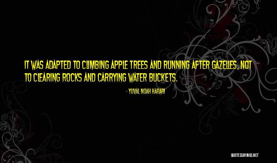 Clearing Quotes By Yuval Noah Harari Clearing Quotes By Yuval Noah Harari