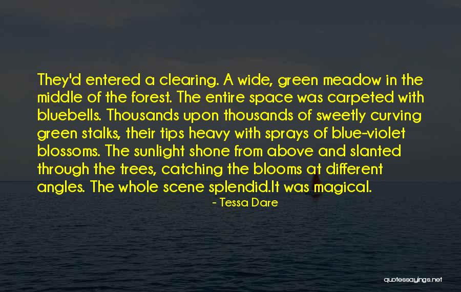 Clearing Space Quotes By Tessa Dare Clearing Space Quotes By Tessa Dare