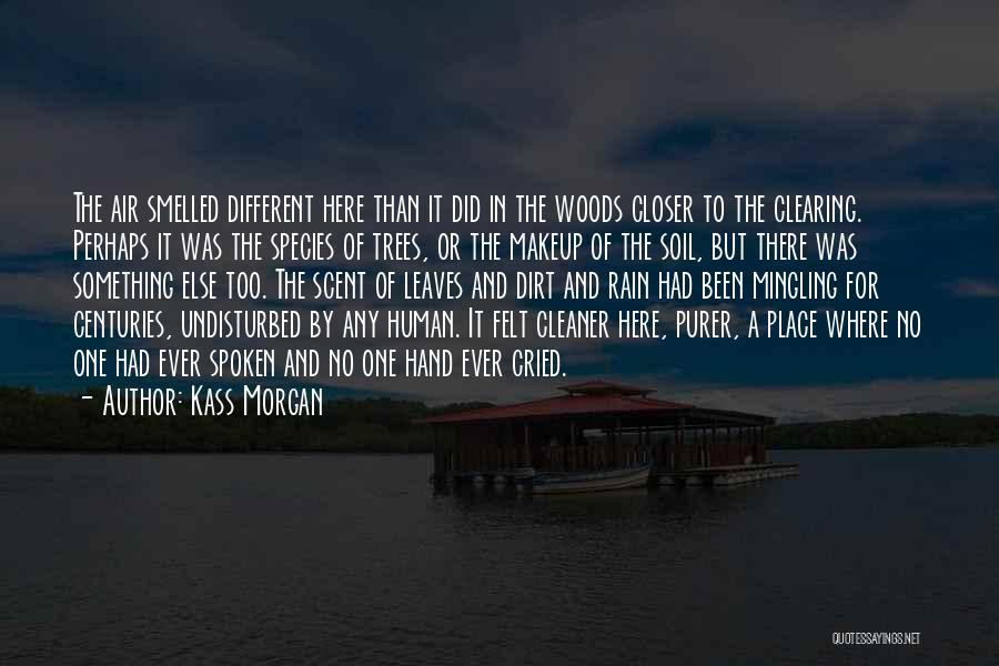 Clearing The Air Quotes By Kass Morgan