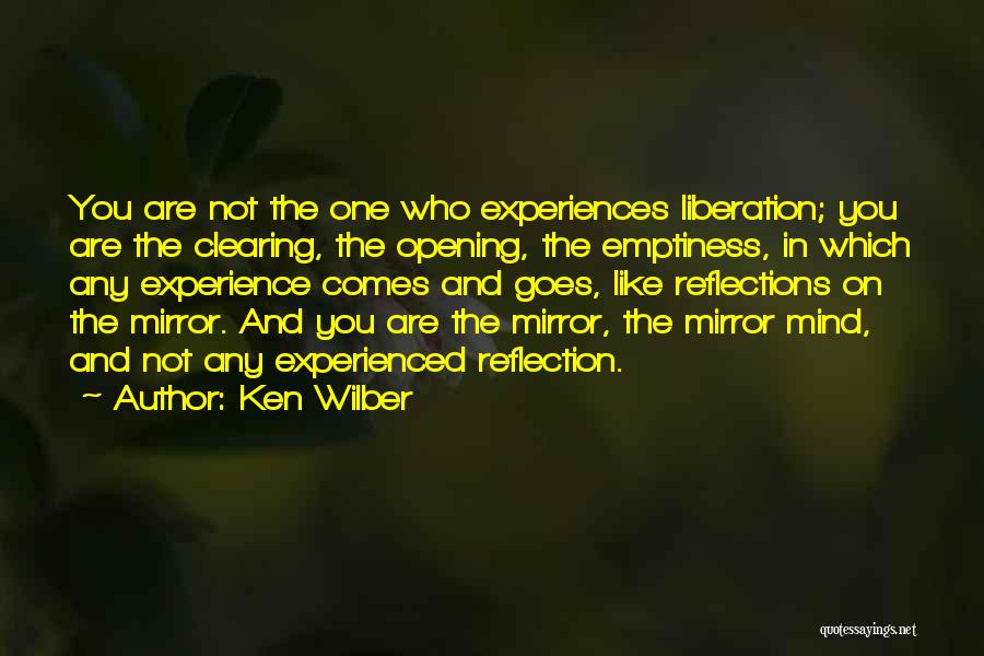 Clearing The Mind Quotes By Ken Wilber