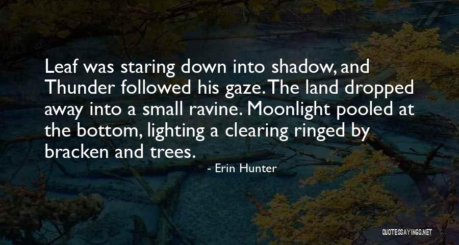 Clearing Things Out Quotes By Erin Hunter Clearing Things Out Quotes By Erin Hunter