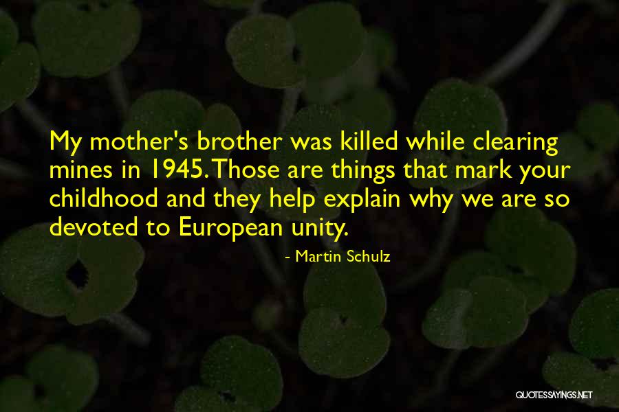 Clearing Things Out Quotes By Martin Schulz