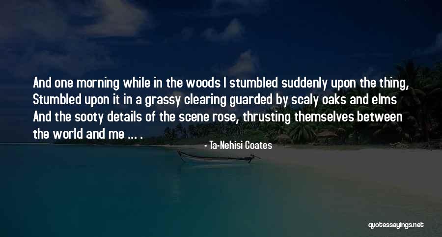 Clearing Things Out Quotes By Ta-Nehisi Coates Clearing Things Out Quotes By Ta-Nehisi Coates