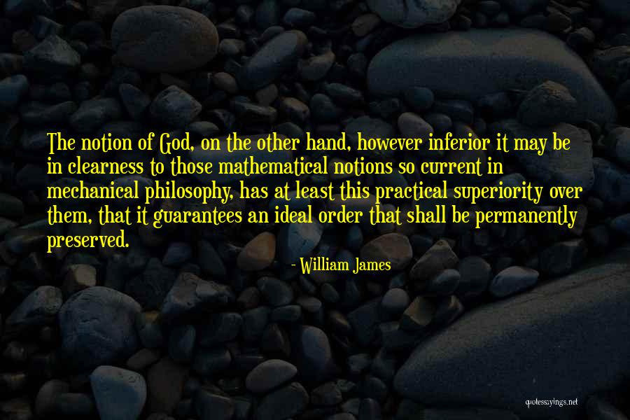 Clearness Quotes By William James Clearness Quotes By William James