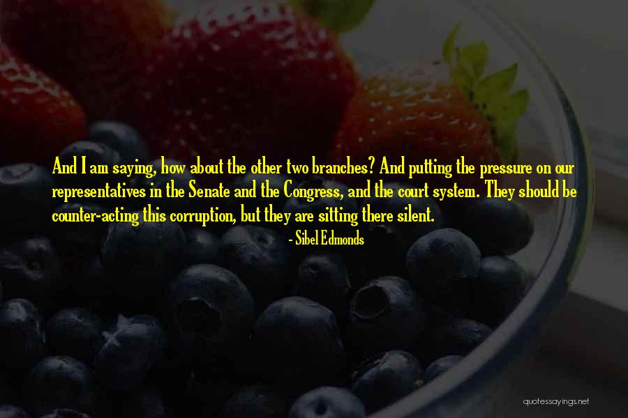 Cleated Belt Quotes By Sibel Edmonds Cleated Belt Quotes By Sibel Edmonds
