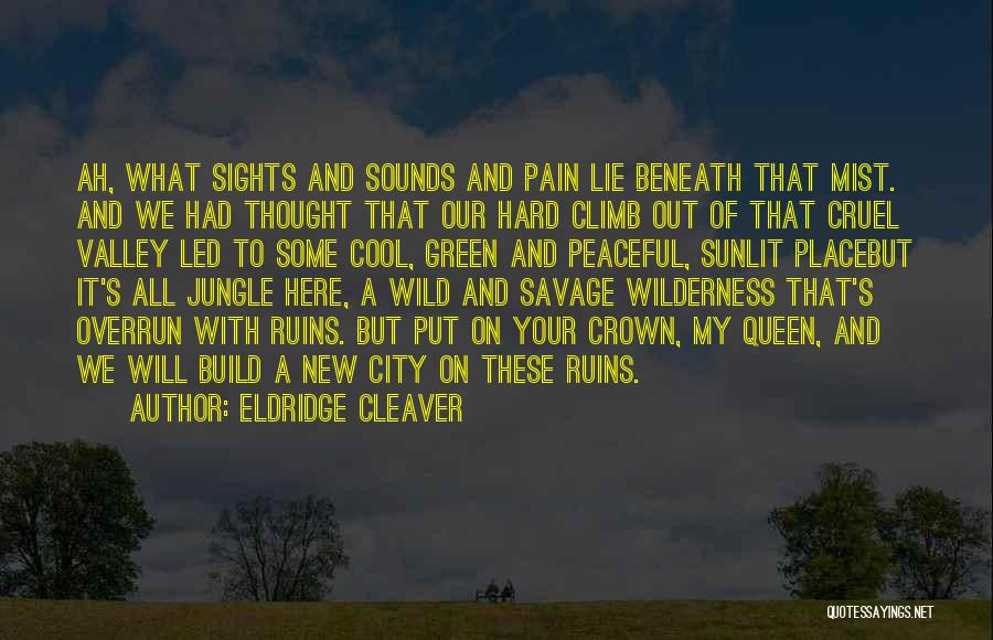 Cleaver Quotes By Eldridge Cleaver