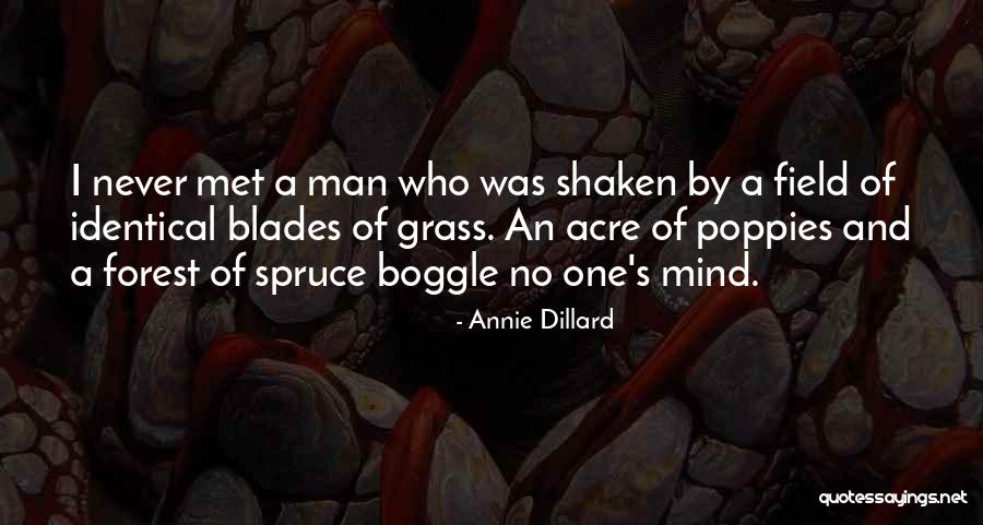 Cleavon Little Sexual Orientation Quotes By Annie Dillard Cleavon Little Sexual Orientation Quotes By Annie Dillard