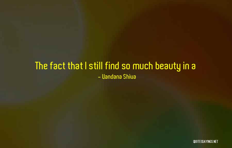 Clerkin Real Estate Quotes By Vandana Shiva Clerkin Real Estate Quotes By Vandana Shiva