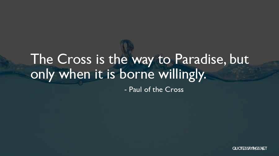 Clerodendrum Quotes By Paul Of The Cross Clerodendrum Quotes By Paul Of The Cross
