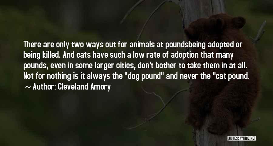 Cleveland Amory Quotes 1046083