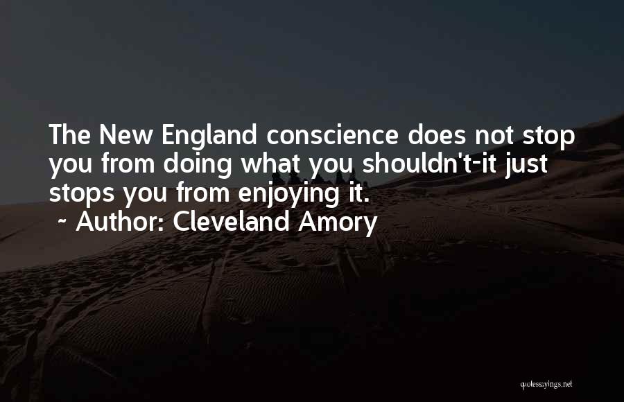 Cleveland Amory Quotes 1547281