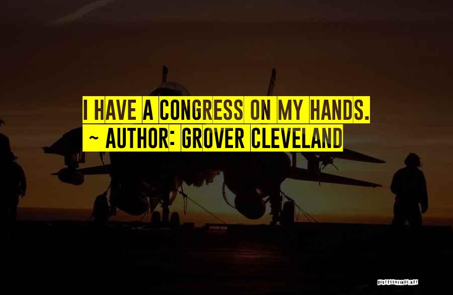 Cleveland Grover Quotes By Grover Cleveland