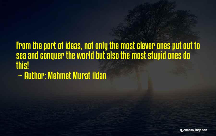 Clever But Stupid Quotes By Mehmet Murat Ildan