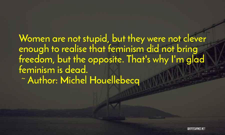 Clever But Stupid Quotes By Michel Houellebecq