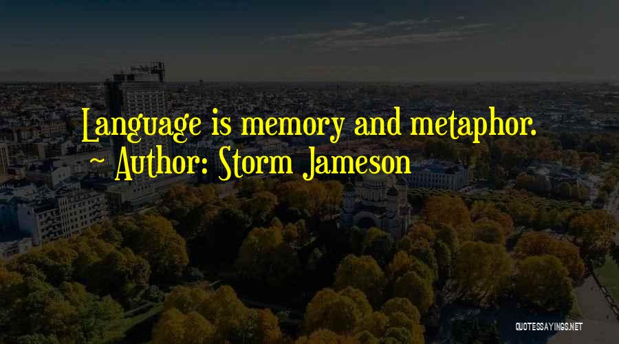 Clever Description Quotes By Storm Jameson