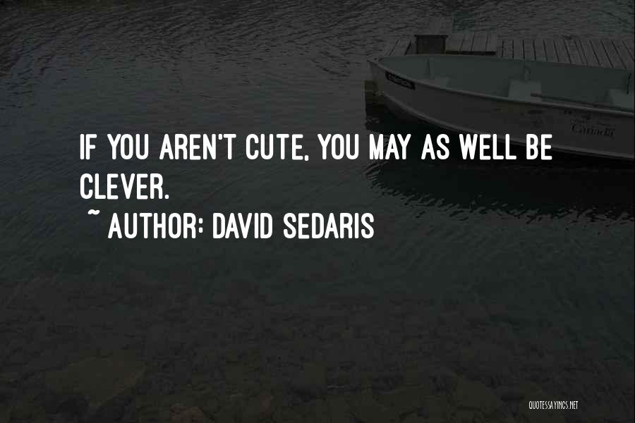 Clever Humor Quotes By David Sedaris