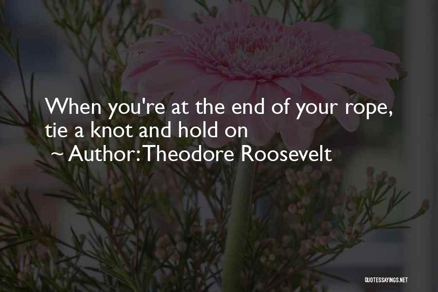 Clever I'm Over You Quotes By Theodore Roosevelt