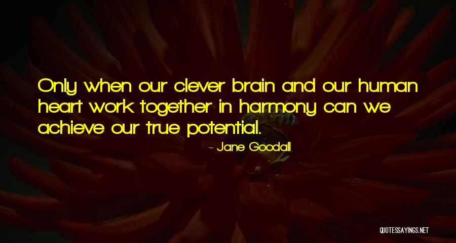 Clever Work Quotes By Jane Goodall Clever Work Quotes By Jane Goodall