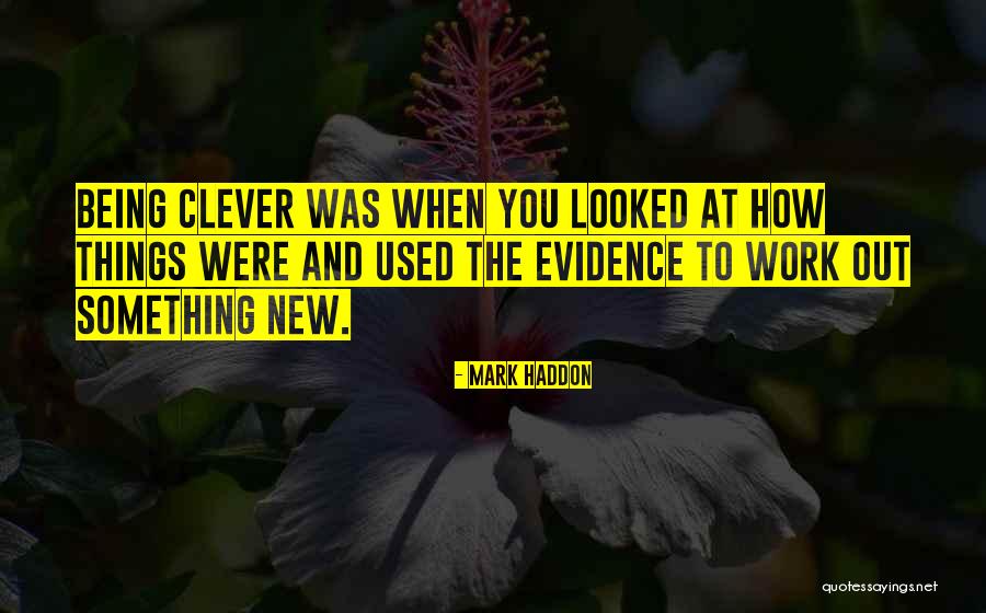 Clever Work Quotes By Mark Haddon Clever Work Quotes By Mark Haddon