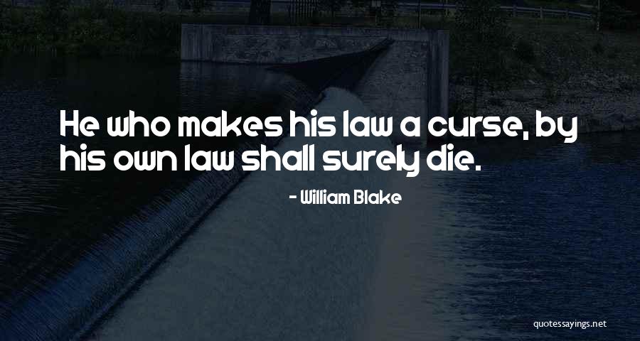 Cleverbot Chat Quotes By William Blake Cleverbot Chat Quotes By William Blake