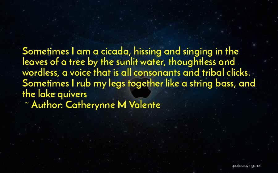 Clicks Quotes By Catherynne M Valente