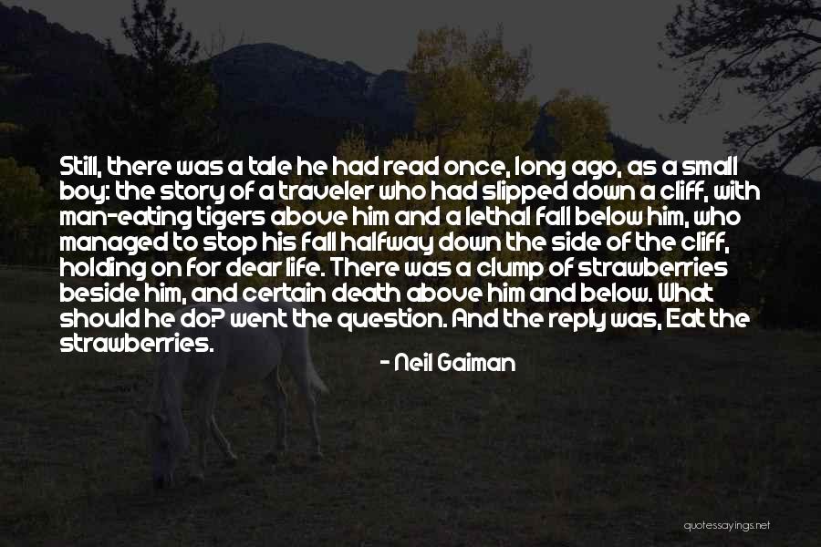 Cliff And Life Quotes By Neil Gaiman Cliff And Life Quotes By Neil Gaiman