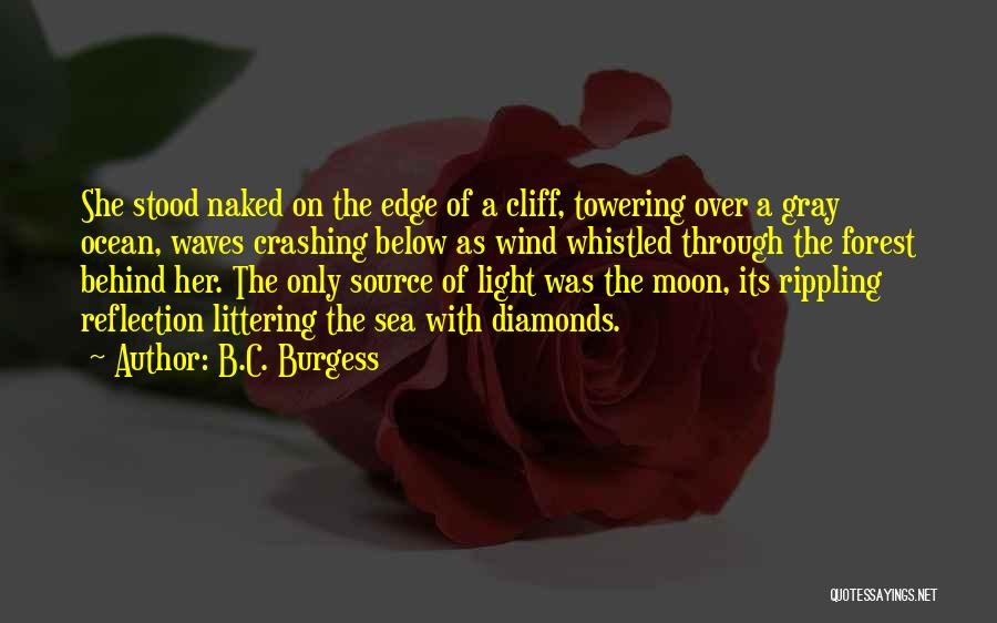 Cliff Edge Quotes By B.C. Burgess