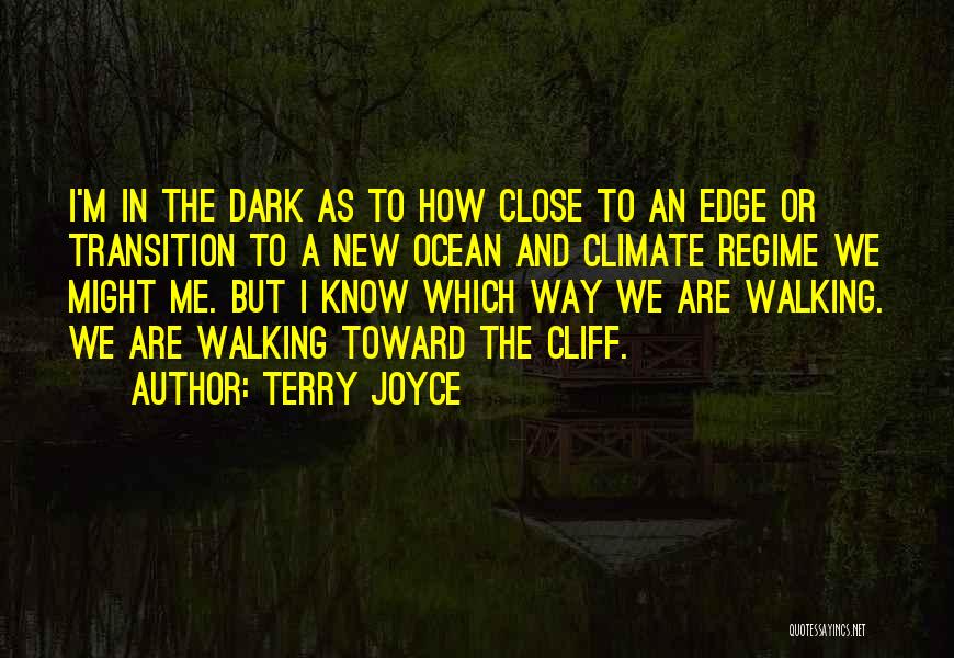 Cliff Edge Quotes By Terry Joyce