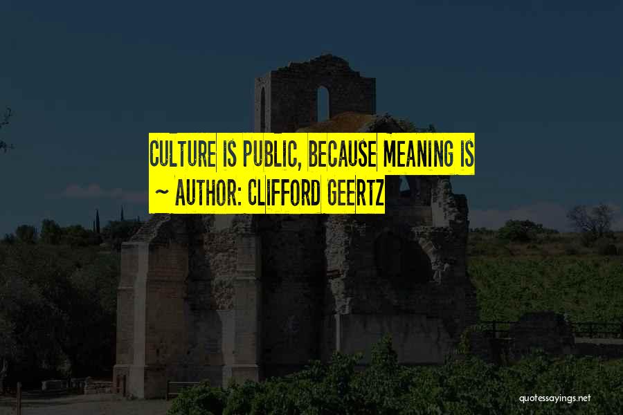 Clifford Geertz Quotes 1615160