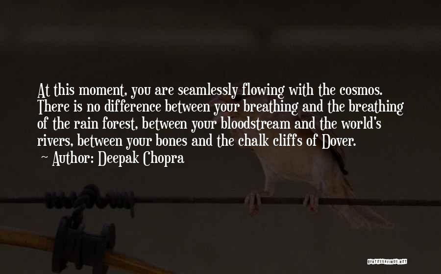 Cliffs Of Dover Quotes By Deepak Chopra